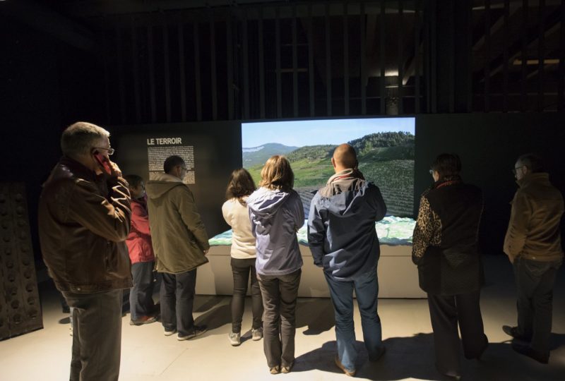 Muséobulles – Cave de Die Jaillance à Die - 1