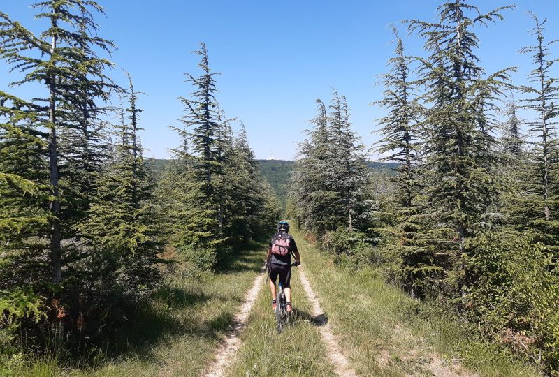 La Trans’Marsannaise à Marsanne - 1