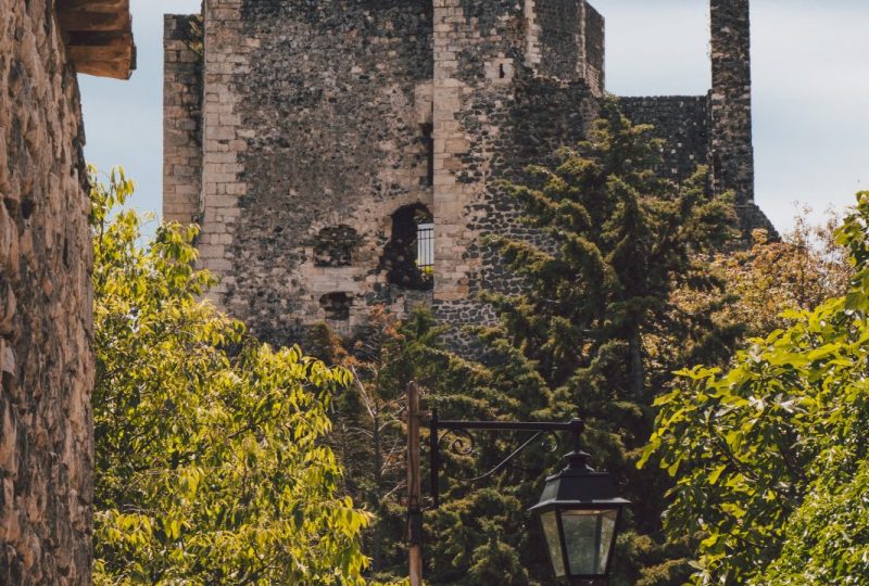 Visite guidée du château de Rochemaure à Rochemaure - 4