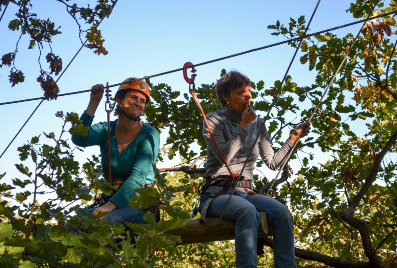 Tree-top challenge course with Joncas Aventure à Le Teil - 2