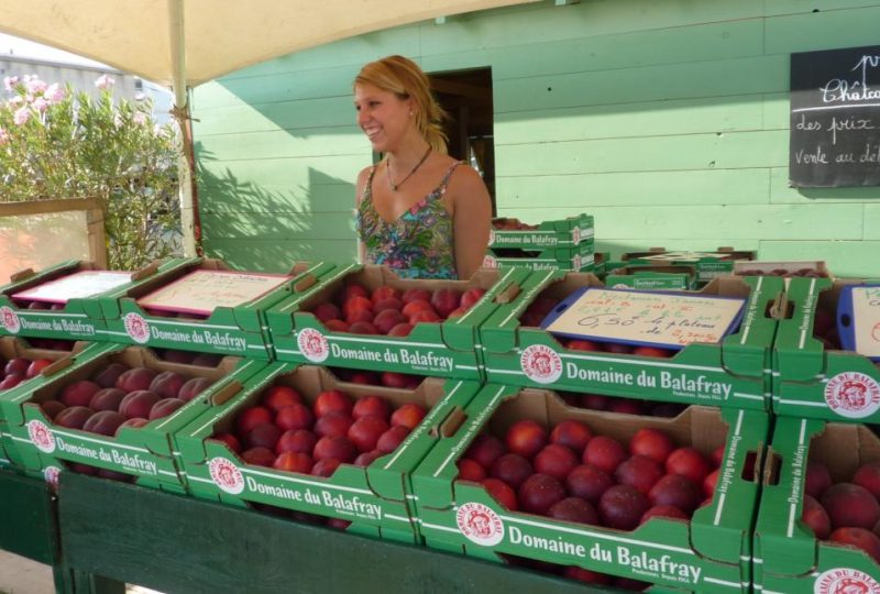 Apricots-Peaches-Nectarines Sylvie Guichard à Châteauneuf-du-Rhône - 1