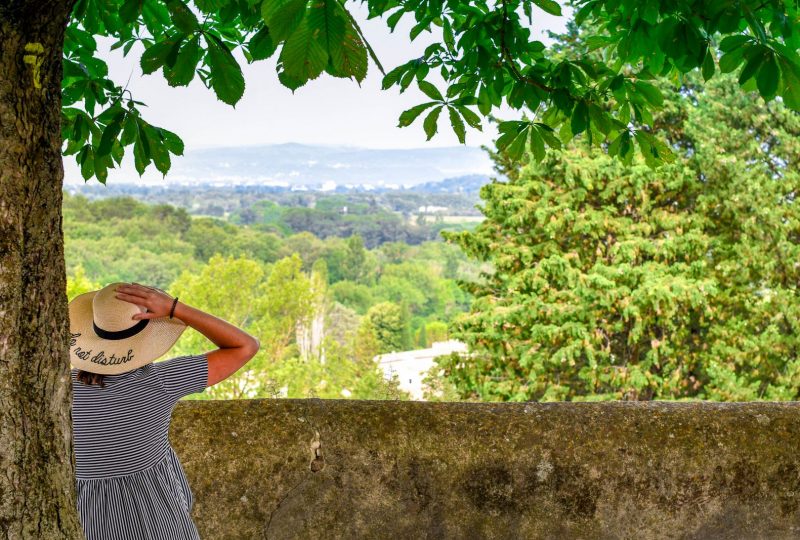 Journées Européennes du Patrimoine – Visite guidée du village à Puygiron - 2