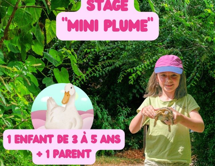 Stage animalier enfant “Mini plume” à Upie - 0