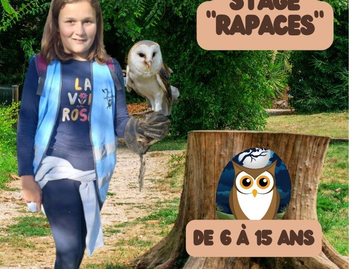 Stage animalier enfant “Rapaces” à Upie - 0