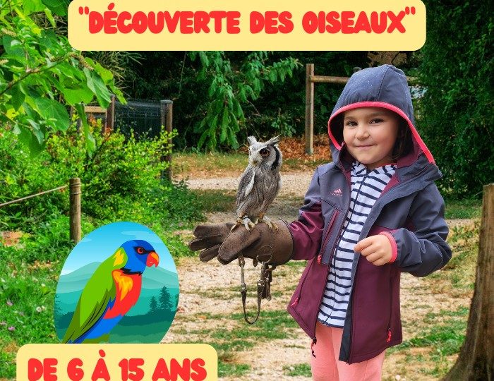 Stage animalier enfant “Découverte des oiseaux” à Upie - 0