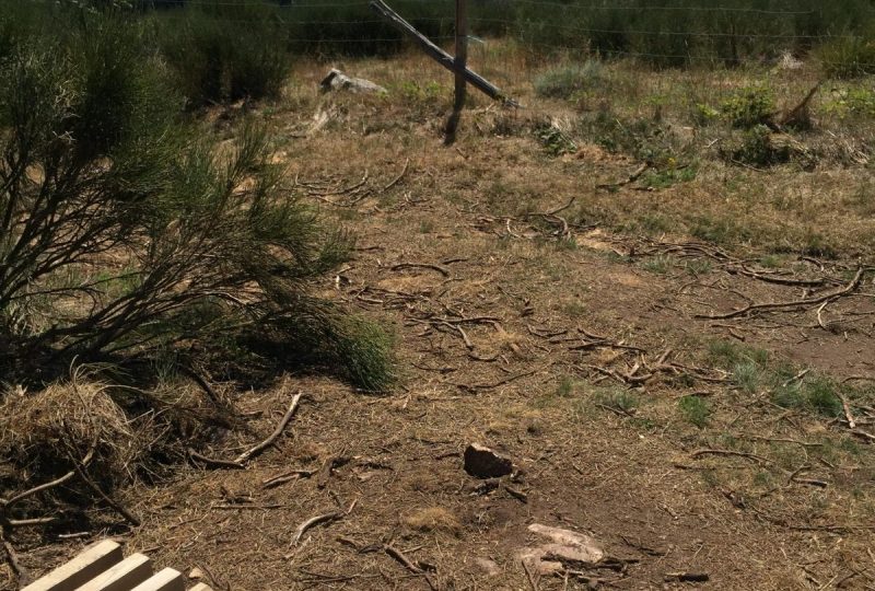 Excursion commentée sur le Tanargue  : un programme proposé par le Parc naturel régional des Monts d’Ardèche et le Grand site de France de l’Aven d’Orgnac à Orgnac-l'Aven - 2