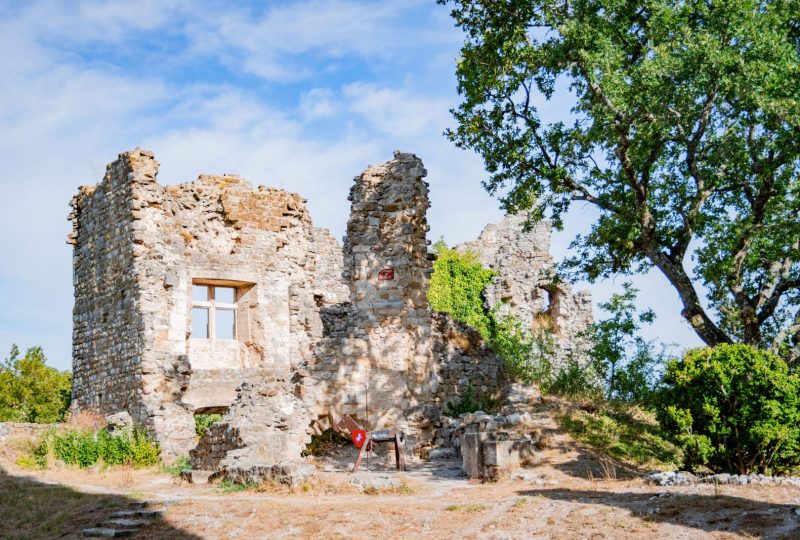 Journées Européennes du Patrimoine à Rochefort-en-Valdaine - 0