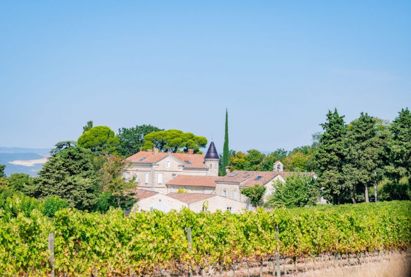 Les vins remarquables de la Drôme Provençale – Montélimar Agglomération à Montélimar - 0