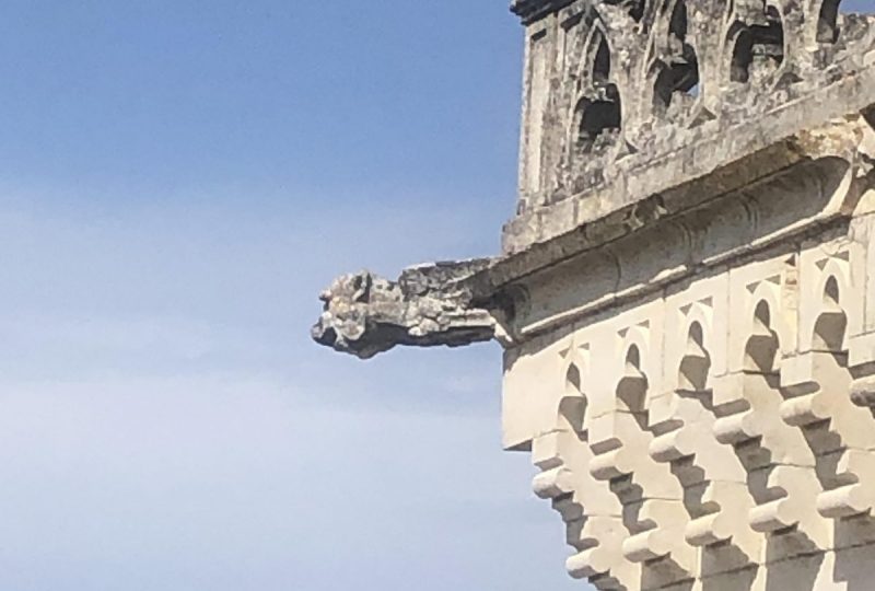 Journées Européennes du Patrimoine: Visites du château de Puygiron à Puygiron - 1