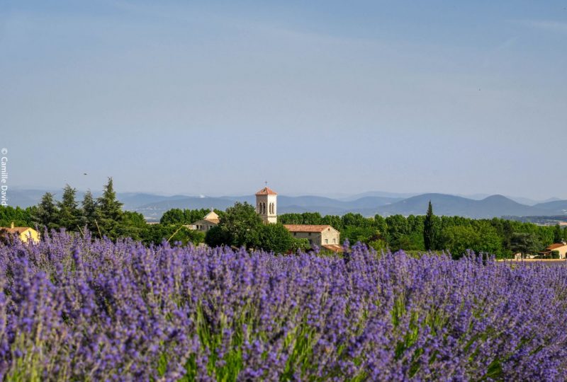 Entre champs et bois à Portes-en-Valdaine - 1