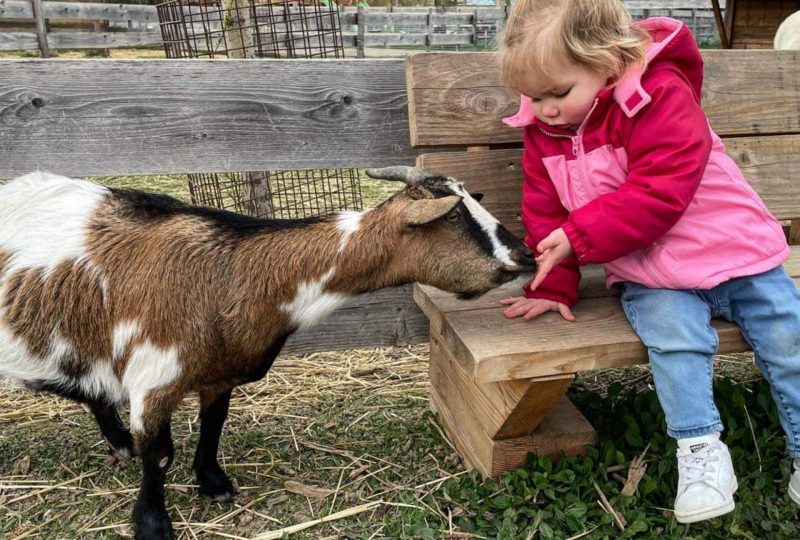 Farm: Au bonheur des animaux à La Garde-Adhémar - 0