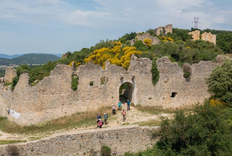 Les cinq portes du Château d’Allan à Allan - 0