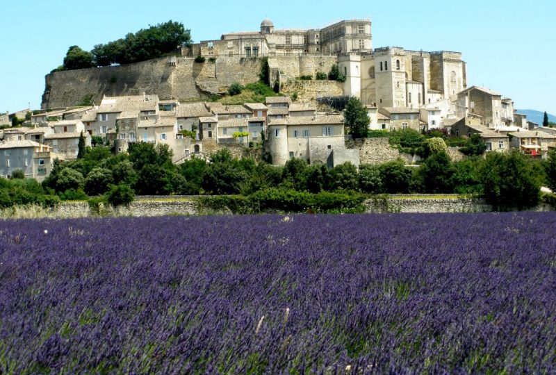 Porte de Provence – Gîte Croquet Bernard à Châteauneuf-du-Rhône - 11