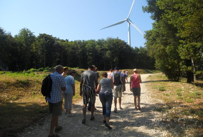 Visite commentée du Parc Eolien de Marsanne à Marsanne - 2