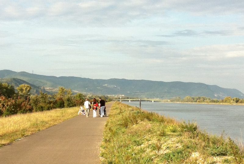 Via Rhôna, étape 15 : de Le Pouzin / Cruas à Chateauneuf du Rhône / Viviers à Montélimar - 1