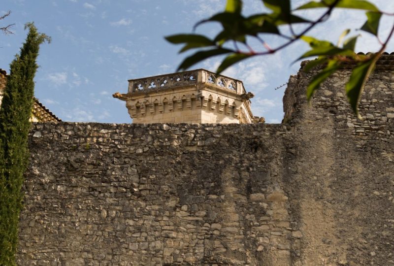 Le château et ses 4 tours à Puygiron - 2