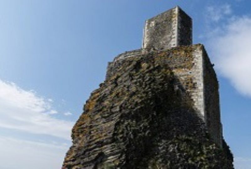 Visite guidée du château de Rochemaure à Rochemaure - 6