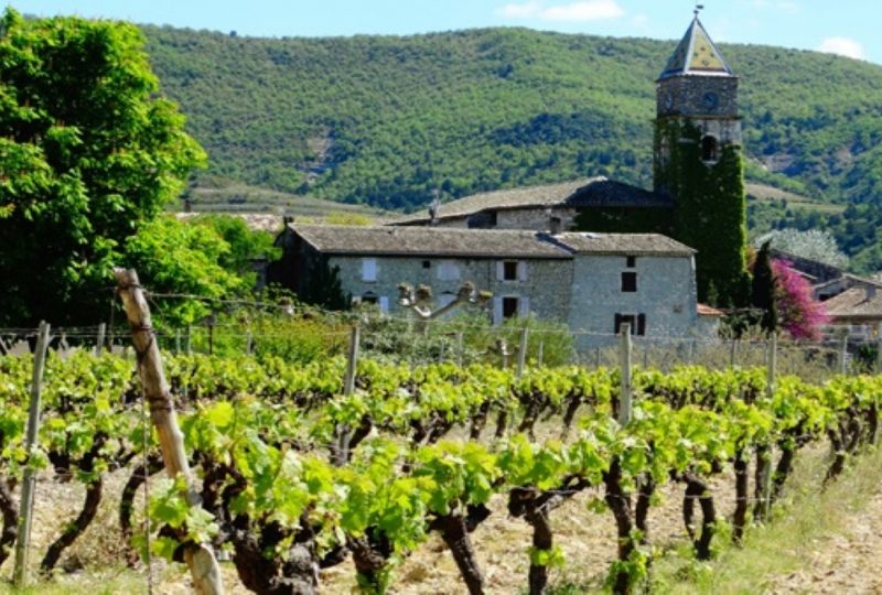 Visite du Caveau des vignerons de Valvignères à Valvignères - 3